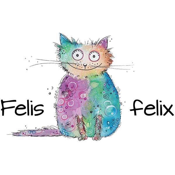 Felis Felix