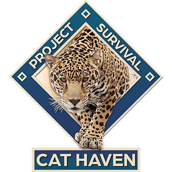 Project Survival logo